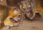 Zeke and Zack, the kinkajous