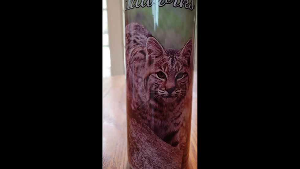 Thumbnail: 20oz Tumbler with Captain