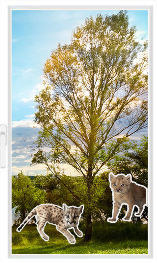 Thumbnail: Bear - Window Sticker (Cling)