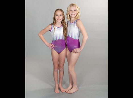 Level 4 Horizontal.png