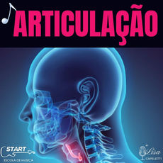 ARTICULAÇÃO