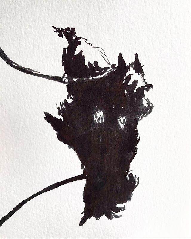 “Hamish”
#sumi #sumiink #petportrait #d