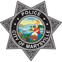 MPD Star Large PNG.png