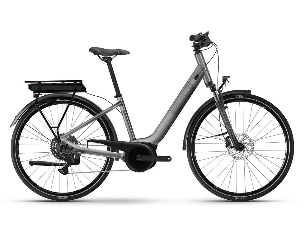 Thumbnail: Raleigh CAPTUS Midstep and Lowstep