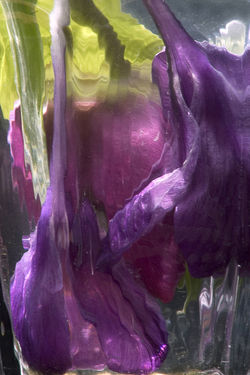 Identity  May 2007-1-2-2