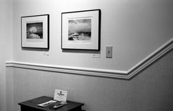 01 Solitude of the Stone_Roxanne Smith_2007_installation view-2