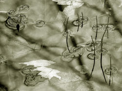 PICT0015b