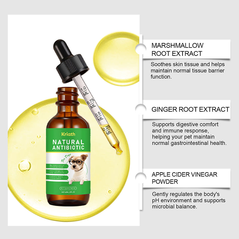 Thumbnail: Dog Anxiety Relief Herbal Drops Natural Pet Calming Supplement Digestive Support