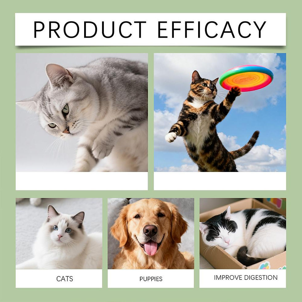 Thumbnail: 60ML Pet Nutrition Supplement Probiotic Drops Containing Enzymes Used For Pet Di