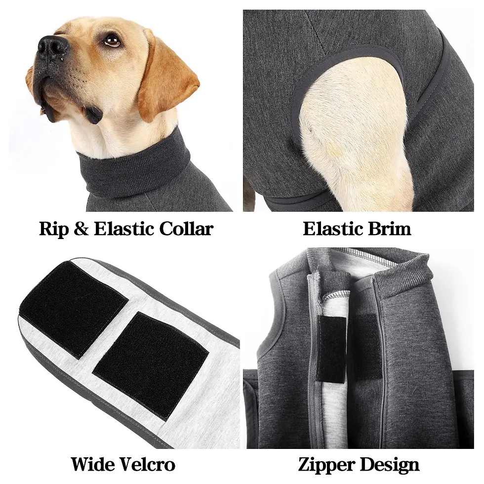 Thumbnail: Anxiety Relief Vest for Dogs & Cats Calming Wrap Custom Logo Factory