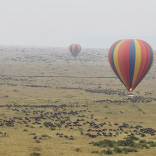 Balloon Safari