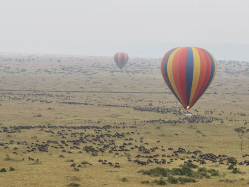 Balloon Safari