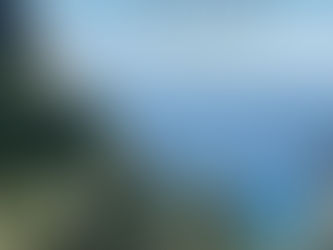 In the Press: France