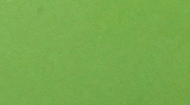 Verde Bios