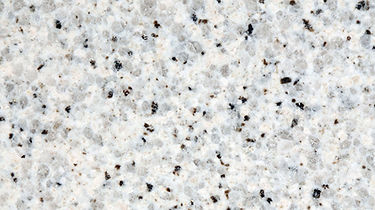 Branco Polar