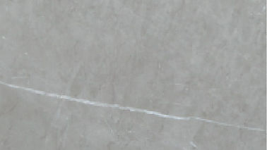 Gris.jpg