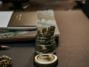 Cannabis Sleep Aid: Is Weed the Sleep Solution You Need?