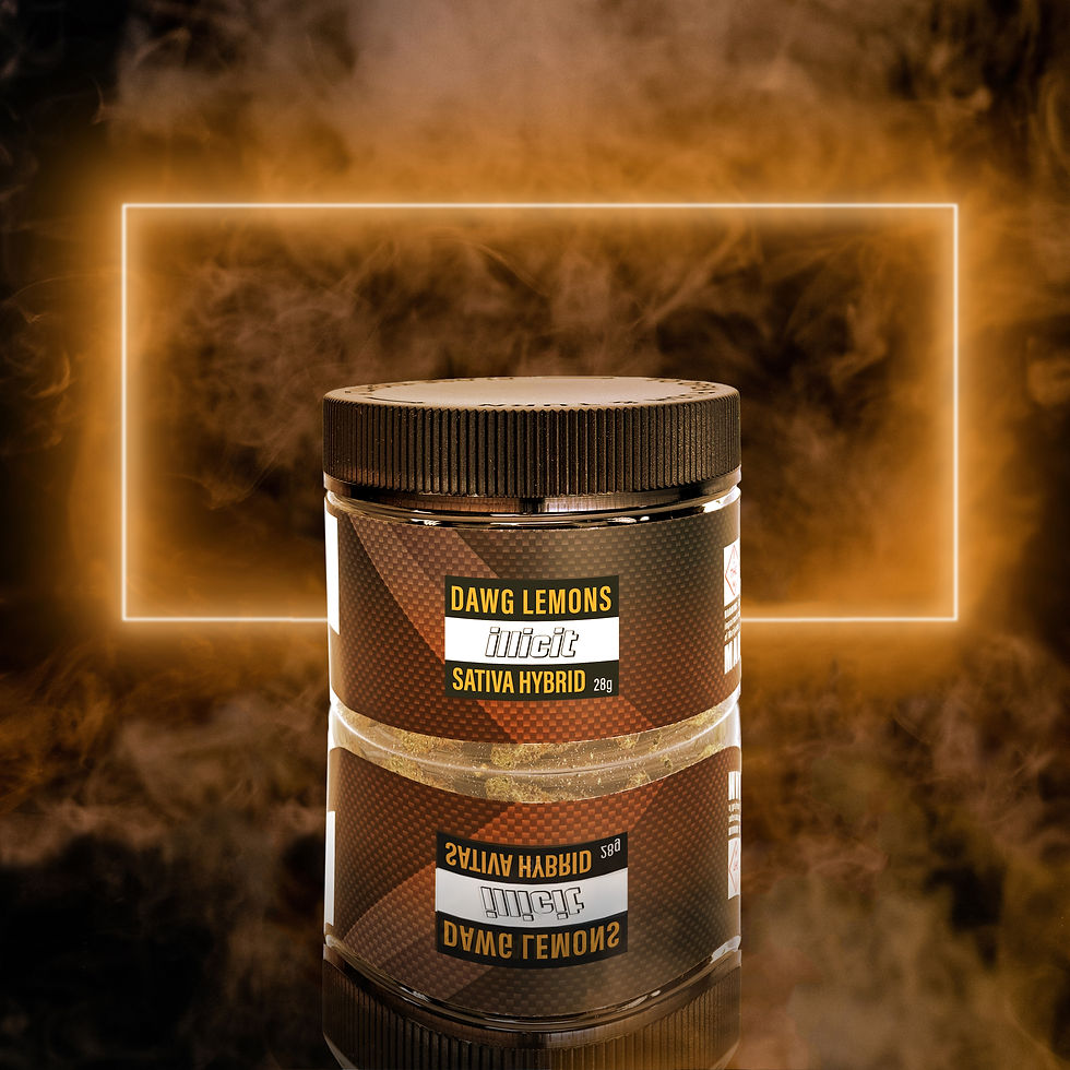 Dawg Lemons Cannabis Strain at Illicit Gardens