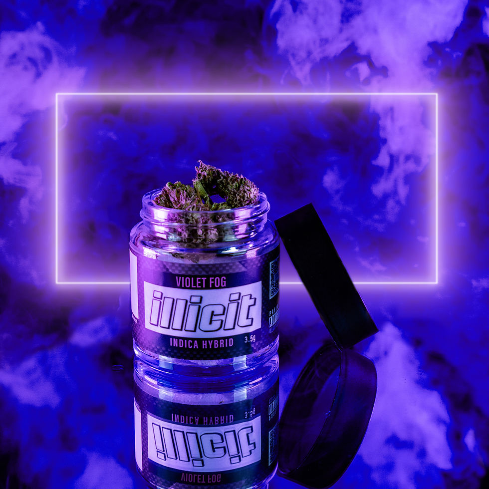 Violet Fog Cannabis Strain at Illicit Gardens