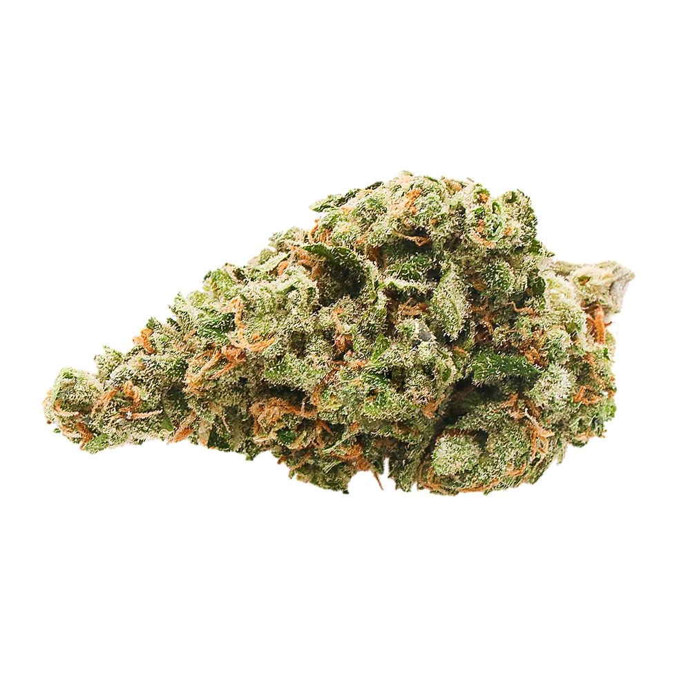 stability-growers-marijuana-pineapple-fields-2.png