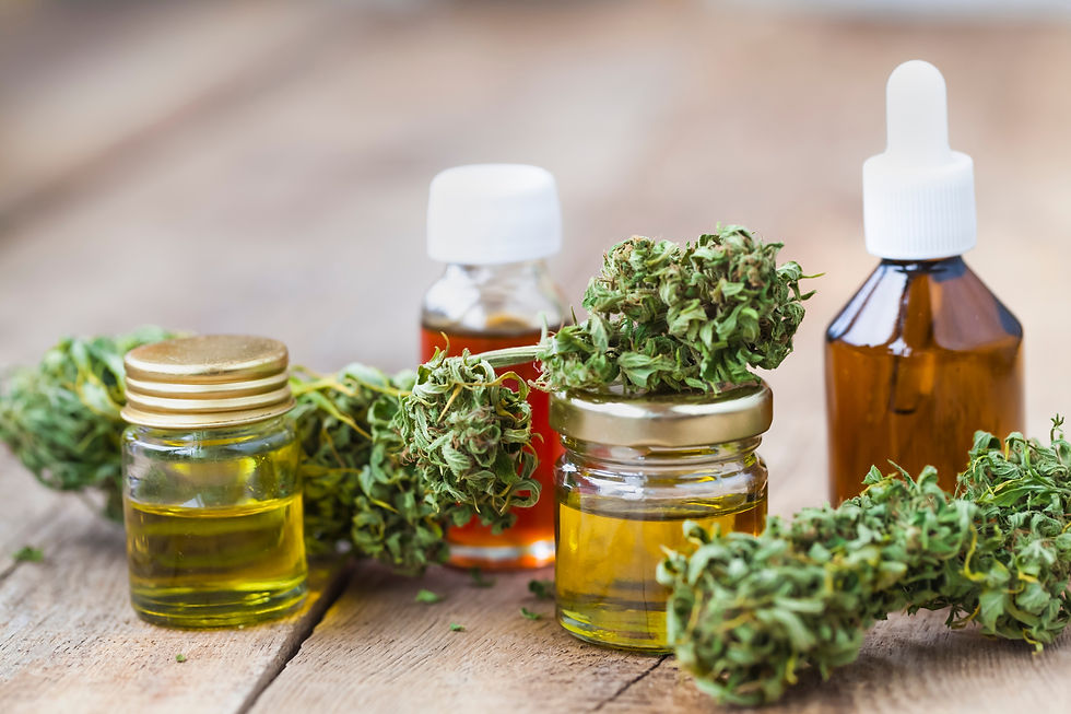 elmwood park dispensary