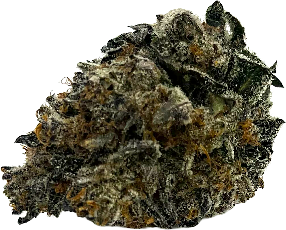 Close-up of Rollozz strain, a hybrid cannabis bud with vibrant hues of light green, orange, and yellow, frosted in thick trichome crystals. Known for its relaxing and blissful effects, the Rollozz strain offers relief from chronic pain and anxiety with a nutty, earthy flavor profile.