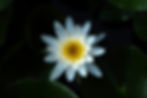 DSCF6247-min