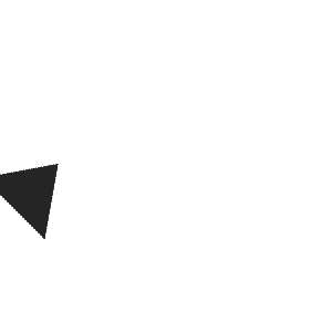 arrow2.gif