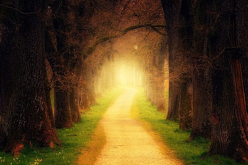 golden path.jpg