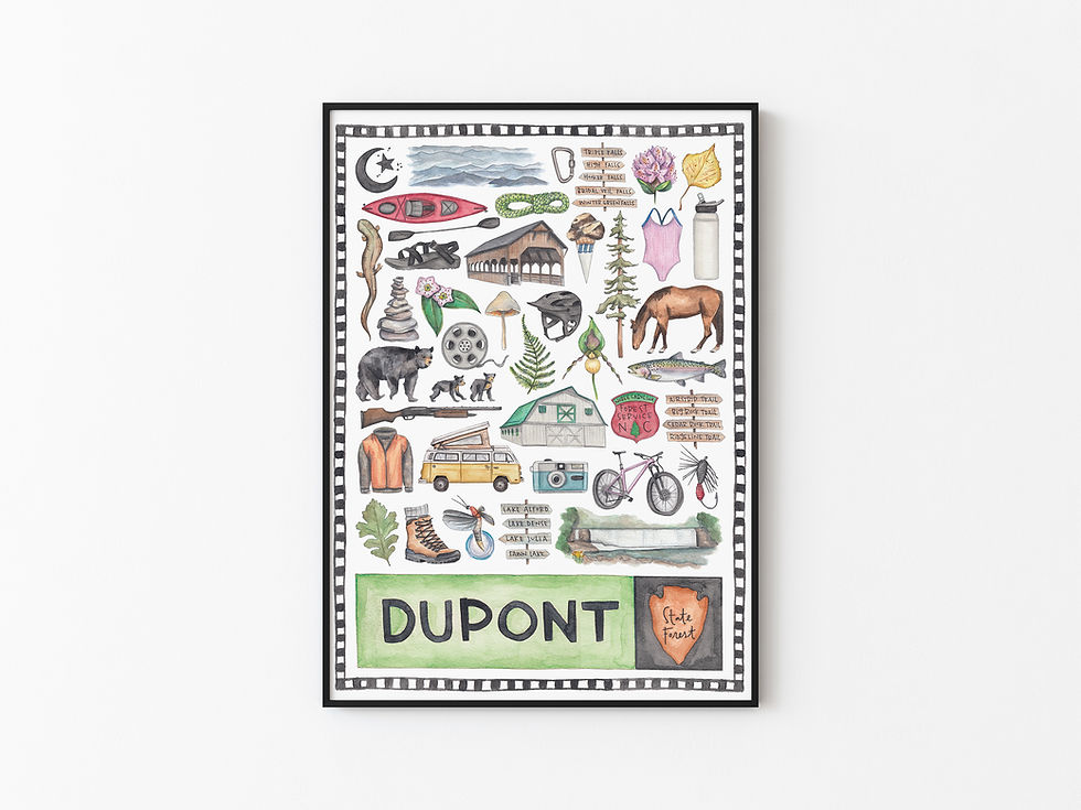 Thumbnail: Dupont State Forest Icon Watercolor