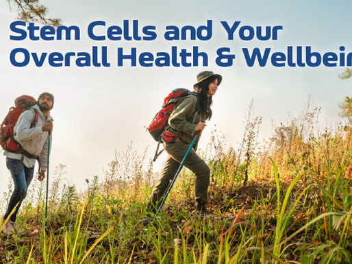 Stem Cells and Your Overall Health & Wellbeing