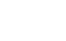 lion-logo-app-welcome (3).png
