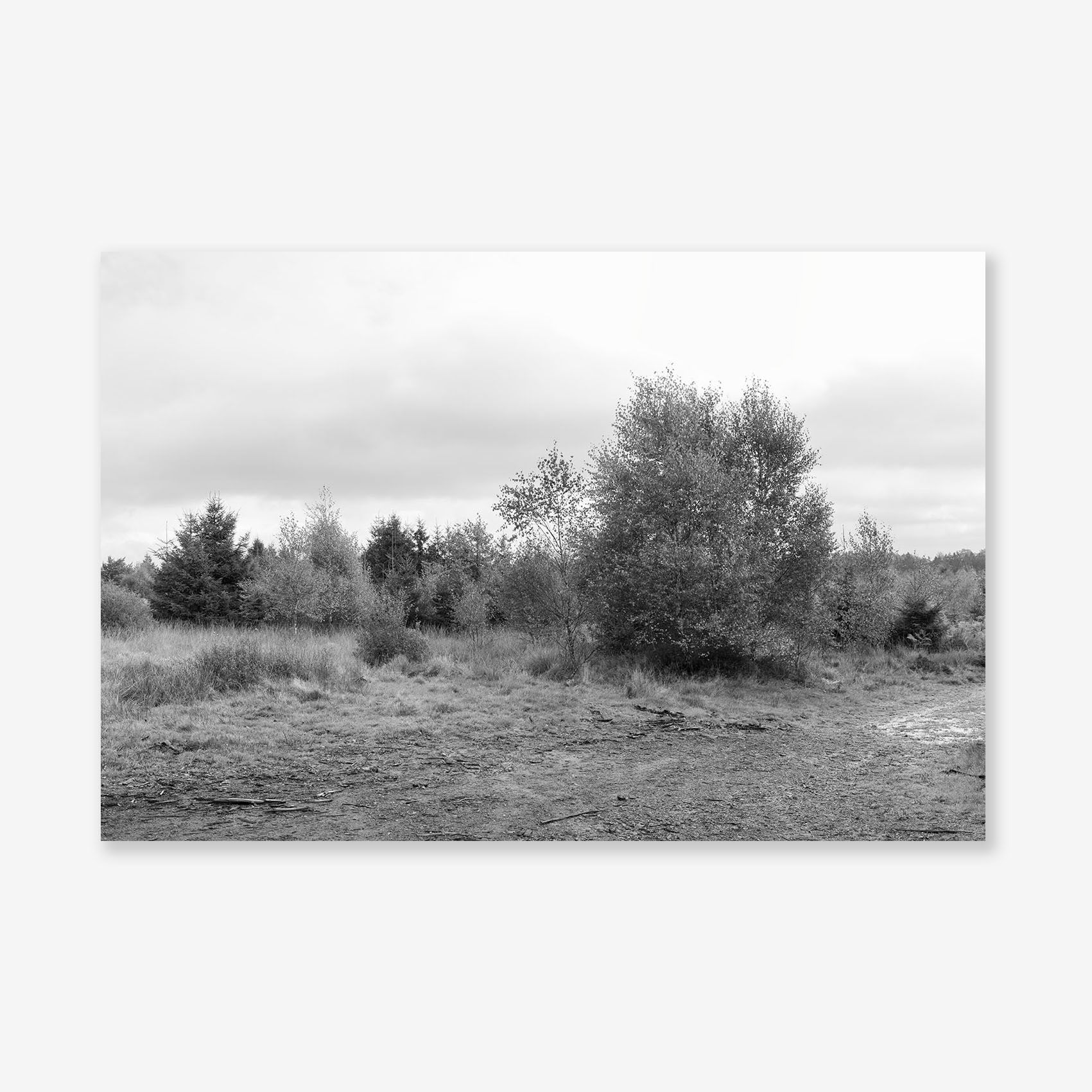 00090 Fine Art Print