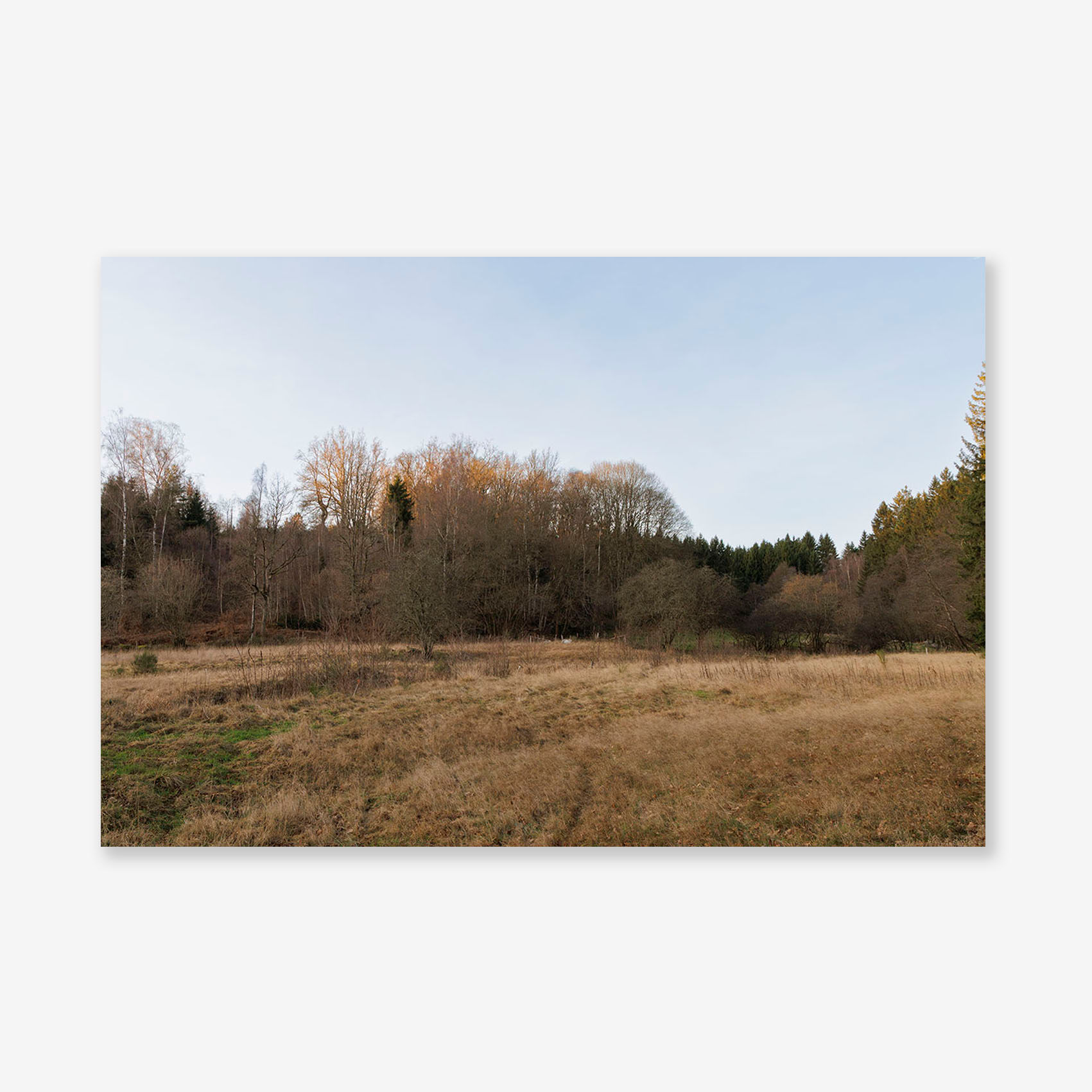 00180 Fine Art Print