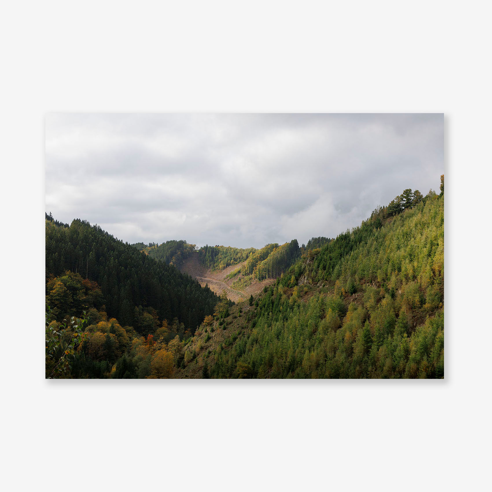 00120 Fine Art Print
