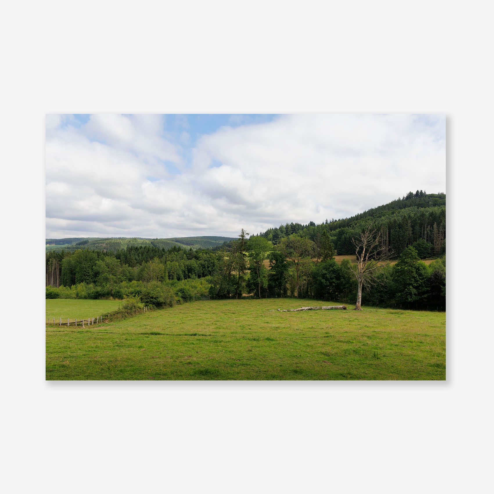 00080 Fine Art Print