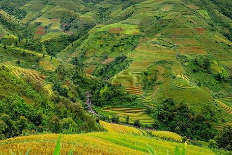 terraces-5568679_1920.jpg