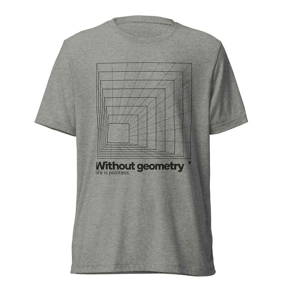 Thumbnail: without geometry | tri-blend t shirt