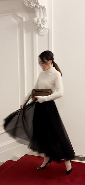 MotionBlurPuppStairGirl_edited.jpg
