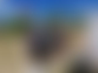 Sortie voile à la Plaine Tonique