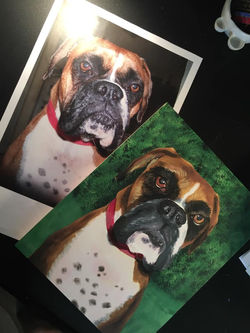 Side by side comparison - Boxer