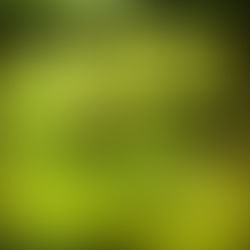 ランディングネット粗加工