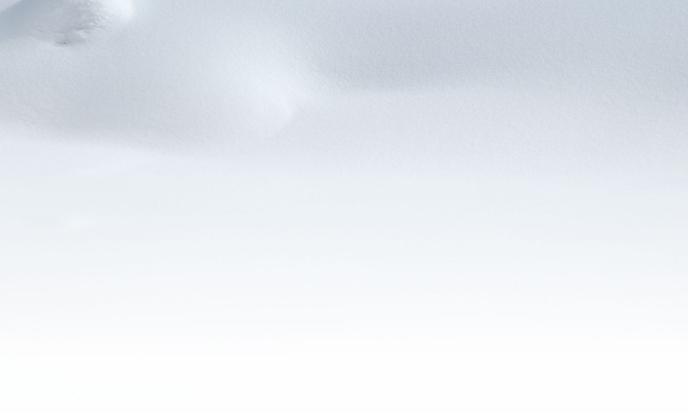 プロテオグリッチ（公式） | kicolabmake