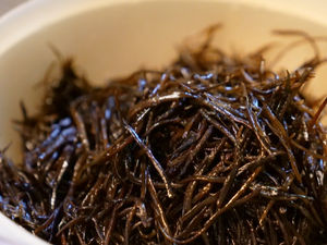 乾燥ひじきを水で戻すと「8〜10倍」に。ひじきの戻し率や戻し方【ひじき漁師が解説】