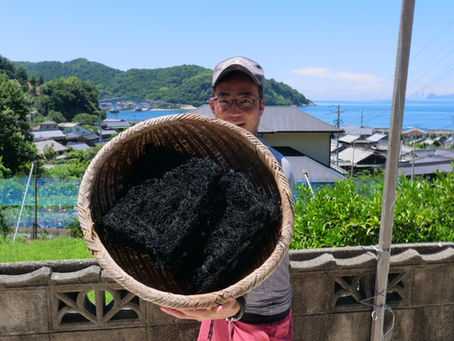 沖家室ひじきの情報発信とお問い合わせ・連絡先