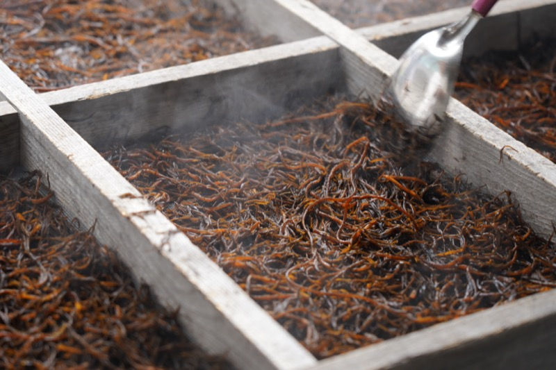 ミネラル豊富な日本古来のスーパーフード「ひじき」を食べる栄養面での4つのメリットとその効果