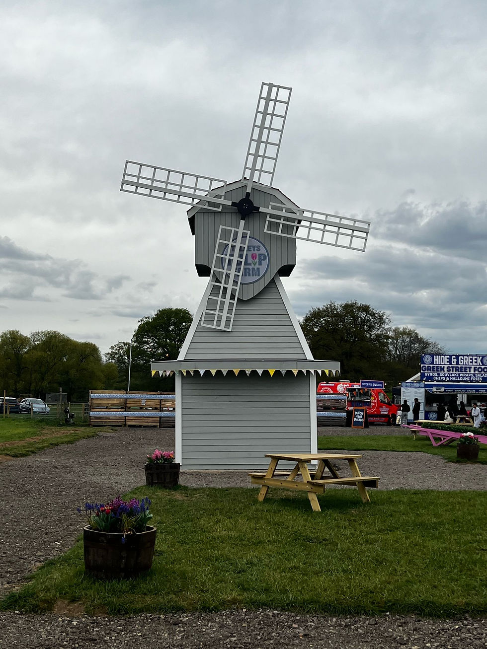 Chasing countryside vibes under the windmill skies.