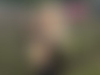 THE GLAMOUR OF HITCHIN LAVENDER