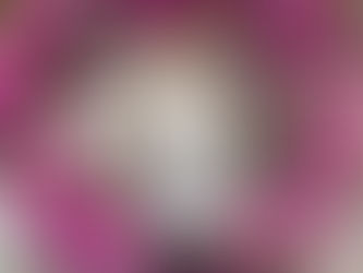 EL&N: YOUR CHOICE CAFÉ BAR NONE