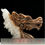 Thumbnail: Large Enchanted Dragon Carving on Quartz Crystal Cluster